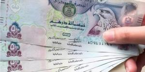 سعر الدرهم الإماراتي مقابل الجنيه المصري اليوم الأحد 12 يناير 2025 - شبكة أطلس سبورت