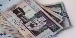 سعر الريال السعودي اليوم الثلاثاء 21-1-2025 مقابل الجنيه المصري - أطلس سبورت