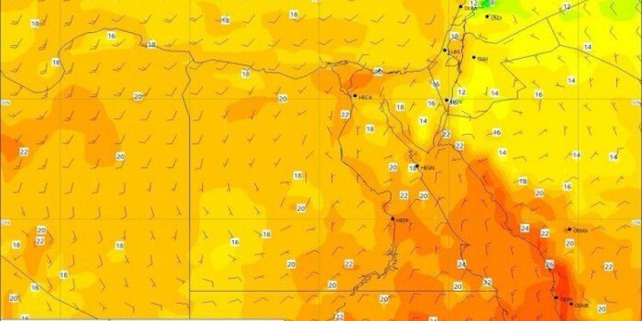 سيطرة الشبورة.. الأرصاد تكشف عن حالة الطقس اليوم الأحد 12 يناير 2025 - شبكة أطلس سبورت