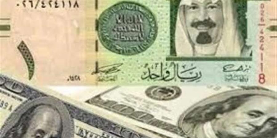 سعر الدولار اليوم الأربعاء 22-1-2025 أمام الجنيه المصري في البنوك - أطلس سبورت