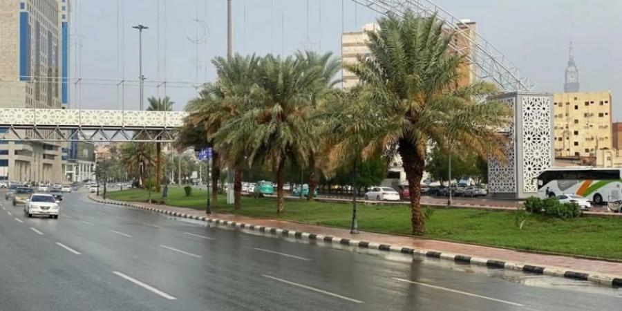 طقس الخميس.. أتربة مثارة على أجزاء من منطقة الرياض - شبكة أطلس سبورت