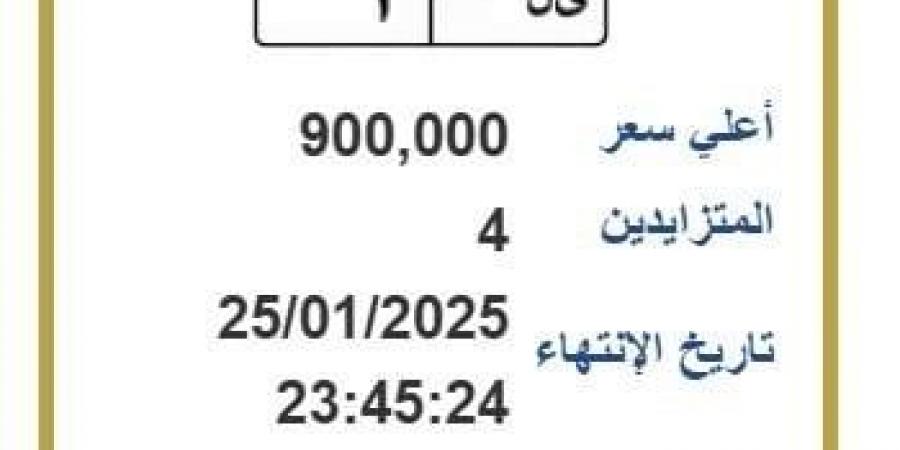 وصل سعرها إلى 900 ألف جنيه.. لوحة معدنية مميزة يتنافس عليها 4 أشخاص - شبكة أطلس سبورت