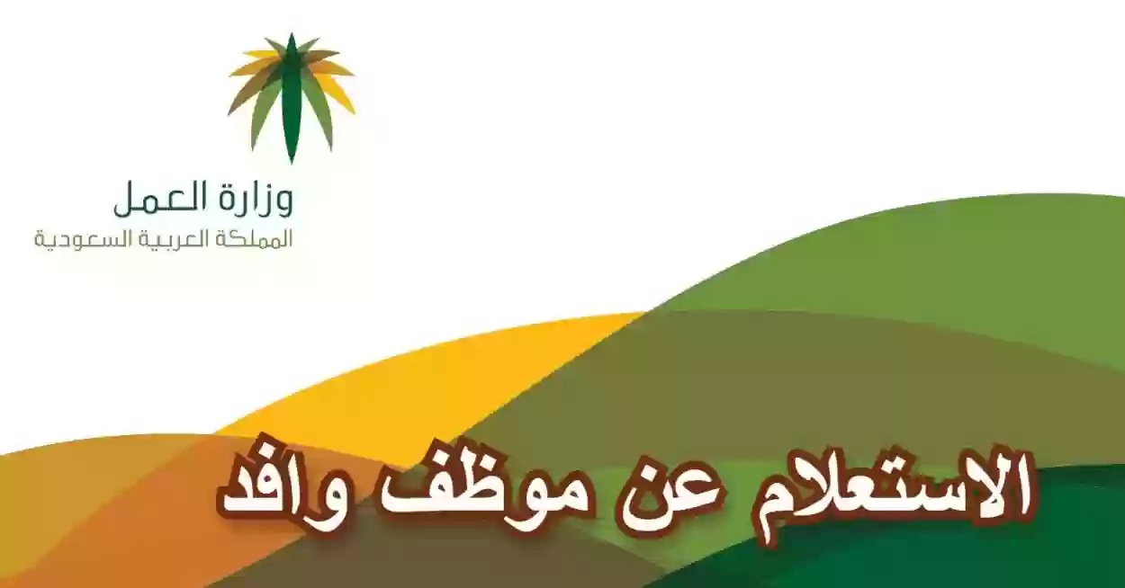 “خطوة بخطوة” الاستعلام عن موظف وافد في السعودية عبر وزارة الموارد البشرية 1446 وشروط الاستعلام