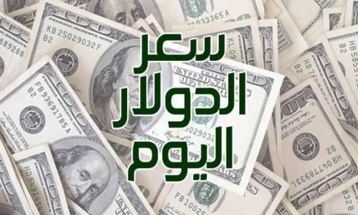 الأخضر يستقر من جديد … سعر الدولار اليوم في مصر 14 ديسمبر 2024 بالبنوك المصرية والسوق السوداء