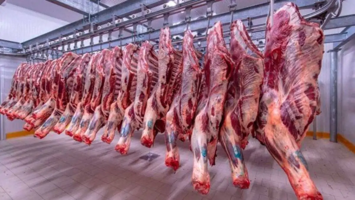 أسعار اللحوم للمستهلكين في مصر اليوم تبدأ من 290 جنيهًا وفق أحدث تقارير السوق Meat Prices in Egypt