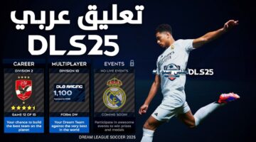 تحميل DLS 25