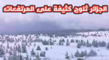 ثلوج الجزائر