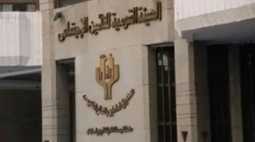 زيادة المعاشات تبدأ من 2300 جنيه مع بداية 2025