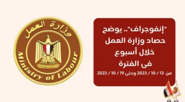 وزارة العمل المصرية تبدأ في استقبال طلبات فرص العمل بالسعودية