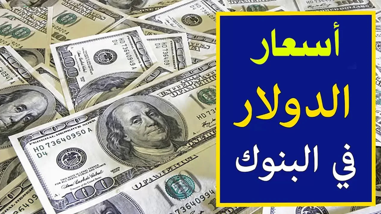 سعر الدولار في البنوك اليوم 9-2-2025 مقابل الجنية المصري